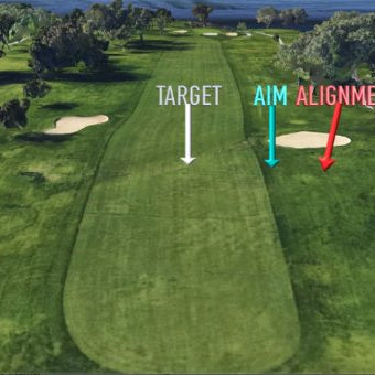 SHOULD YOU EVER AIM IN DANGER?