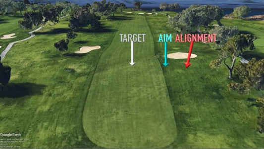 SHOULD YOU EVER AIM IN DANGER?